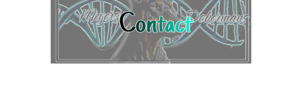 Please do not hesitate to reach out if you have any questions or concerns regarding puppies, my program, canine services or evem if you are simply looking for advice or information&nbsp;