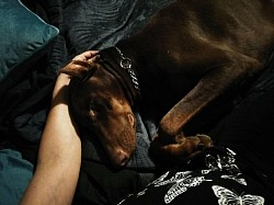 Able / Spoiled