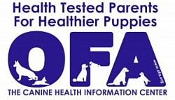 OFA